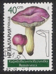 Stamps Bulgaria -  SETAS-HONGOS: 1.120.025,01-Russula vesca -Dm.978.8-Y&T.3075-Mch.3550-Sc.3236