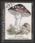 Sellos de Europa - Bulgaria -  SETAS-HONGOS: 1.120.033,01-Amanita pantherina -Dm.991.9-Y&T.3354-Mch.3888-Sc.3599