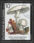 Stamps Bulgaria -  SETAS-HONGOS: 1.120.032,02-Amanita verna -Dm.991.8-Y&T.3353-Mch.3887-Sc.3598