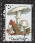 Stamps Bulgaria -  SETAS-HONGOS: 1.120.032,03-Amanita verna -Dm.991.8-Y&T.3353-Mch.3887-Sc.3598
