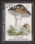 Stamps Bulgaria -  SETAS-HONGOS: 1.120.033,03-Amanita pantherina -Dm.991.9-Y&T.3354-Mch.3888-Sc.3599