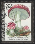 Sellos de Europa - Bulgaria -  SETAS-HONGOS: 1.120.034,04-Amanita muscaria -Dm.991.10-Y&T.3355-Mch.3889-Sc.3600