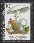 Sellos de Europa - Bulgaria -  SETAS-HONGOS: 1.120.032,05-Amanita verna -Dm.991.8-Y&T.3353-Mch.3887-Sc.3598