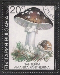 Sellos de Europa - Bulgaria -  SETAS-HONGOS: 1.120.033,05-Amanita pantherina -Dm.991.9-Y&T.3354-Mch.3888-Sc.3599