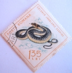 Stamps Romania -  reptiles