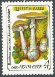 Stamps : Europe : Russia :  URSS Setas 4 NUEVO