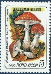 Stamps Russia -  URSS Setas 5 NUEVO