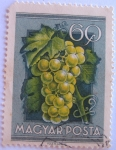 Stamps Hungary -  frutas y hortalizas