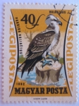 Stamps Hungary -  aves