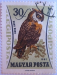 Stamps Hungary -  aves
