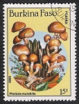 Sellos de Africa - Burkina Faso -  SETAS-HONGOS: 1.121.011,01-Pholiota mutabilis -Dm.985.104-Y&T.676-Mch.1054-Sc.743