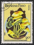Stamps Africa - Burkina Faso -  SETAS-HONGOS: 1.121.012,01-Hypoloma fasciculare -Dm.985.105-Y&T.677-Mch.1055-Sc.744