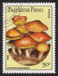 Stamps Burkina Faso -  SETAS-HONGOS: 1.121.013,01-Ixocomus granulatus -Dm.985.106-Y&T.678-Mch.1056-Sc.745