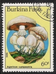Stamps Africa - Burkina Faso -  SETAS-HONGOS: 1.121.014,01-Agaricus campestris -Dm.985.107-Y&T.679-Mch.1057-Sc.746