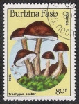 Stamps Burkina Faso -  SETAS-HONGOS: 1.121.015,01-Trachypus scaber -Dm.985.108-Y&T.680-Mch.1058-Sc.747