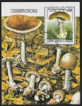 Stamps Cambodia -  SETAS-HONGOS: 1.124.047,00-Amanita phalloides
