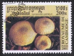 Sellos de Asia - Camboya -  SETAS-HONGOS: 1.124.051,00-Lycoperdon perlatum -Phil.185046-Sc.2066