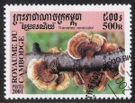 Stamps Cambodia -  SETAS-HONGOS: 1.124.052,00-Trametes versicolor -Phil.185047-Sc.2067
