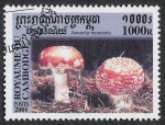 Sellos de Asia - Camboya -  SETAS-HONGOS: 1.124.054,00-Amanita muscaria -Phil.185049-Sc.2069