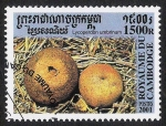 Stamps Cambodia -  SETAS-HONGOS: 1.124.055,00-Lycoperdon unbrinum -Phil.185050-Sc.2070