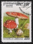 Sellos de Asia - Camboya -  SETAS-HONGOS: 1.124.041,01-Amanita muscaria -Sc.1952