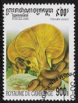 Stamps : Asia : Cambodia :  SETAS-HONGOS: 1.124.043,01-Clitocybe oleana -Sc.1954