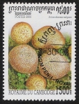 Stamps Cambodia -  SETAS-HONGOS: 1.124.045,01-Scleroderma vulgare -Sc.1956