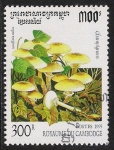 Stamps Cambodia -  SETAS-HONGOS: 1.124.013,02-Armillaria melle -Dm.995.21-Y&T.1254-Mch.1505-Sc.1428