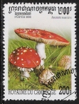 Stamps Cambodia -  SETAS-HONGOS: 1.124.041,02-Amanita muscaria -Sc.1952