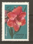 Stamps Russia -  AMARYLLIS