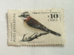 Stamps : America : Chile :  aves chilenas