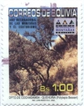 Stamps Bolivia -  Año internacional de las montañas y el ecoturismo