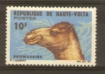 Sellos de Africa - Burkina Faso -  DROMEDARIO