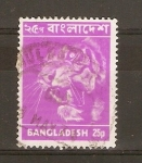 Stamps Bangladesh -  TIGRE
