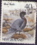 Sellos de Oceania - Nueva Zelanda -  Pato azul