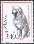 Stamps : Europe : Poland :  Perro