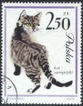 Sellos de Europa - Polonia -  Gato