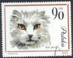Stamps Poland -  Gato
