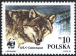 Sellos de Europa - Polonia -  WWF - Lobo