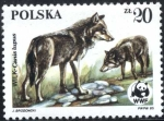 Stamps Europe - Poland -  WWF - Lobos