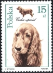 Stamps Poland -  Perros