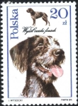 Stamps Poland -  Perros