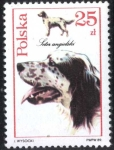 Stamps Poland -  Perros