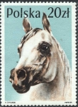 Stamps Poland -  Caballos