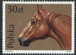Stamps : Europe : Poland :  Caballos