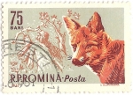 Stamps Romania -  