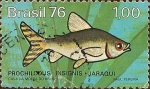 Stamps America - Brazil -  Peces de Agua Dulce en el Brasil: Prochilodus insignis - Jaraqui