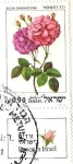 Stamps : Asia : Israel :  ROSA DAMASCENA