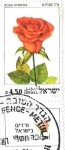 Stamps : Asia : Israel :  ROSA HYDRIDA