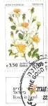 Stamps : Asia : Israel :  ROSA PHOENICIA